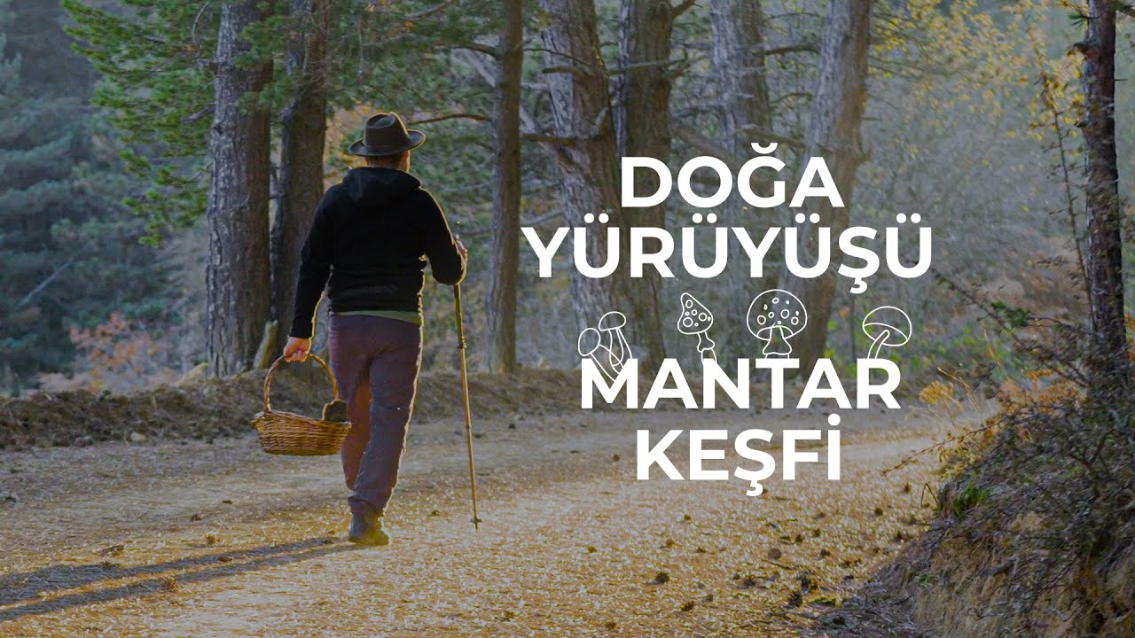BOLU'DA DOĞA YÜRÜYÜŞÜ VE MANTAR KEŞFİ