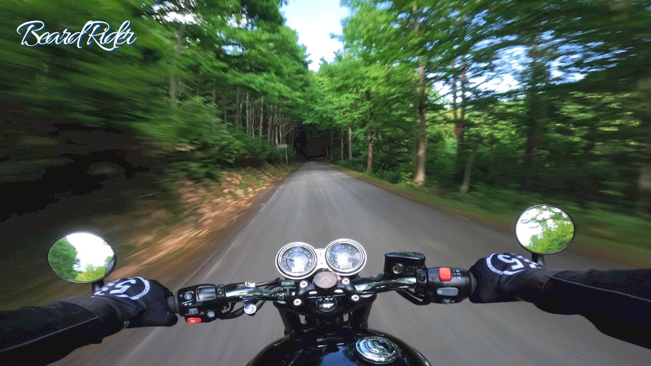 [022] Bonneville T120 Summer Forest | Pure Exhaust Sound [2023 Summer]