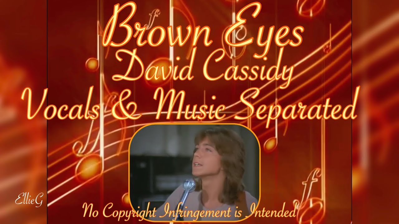Brown Eyes - Song by David Cassidy /Partridge Family ( Vocals & Music Separated)