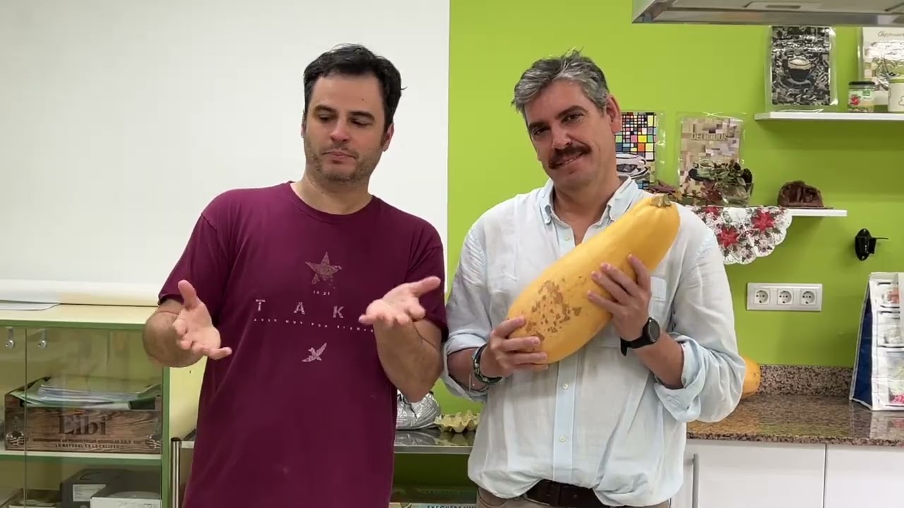 Consejos vendo