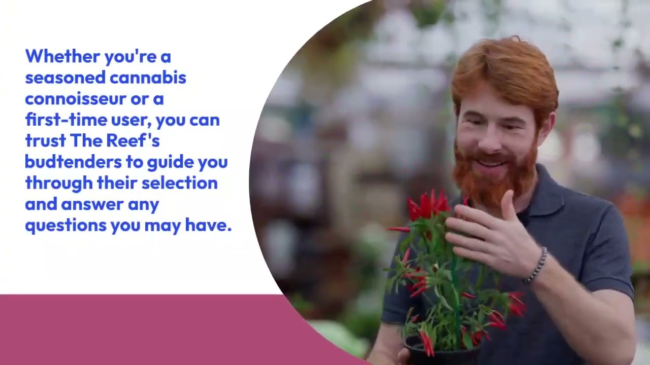 Discovering Excellence: The Reef - The Best Cannabis Dispensary in Seaside