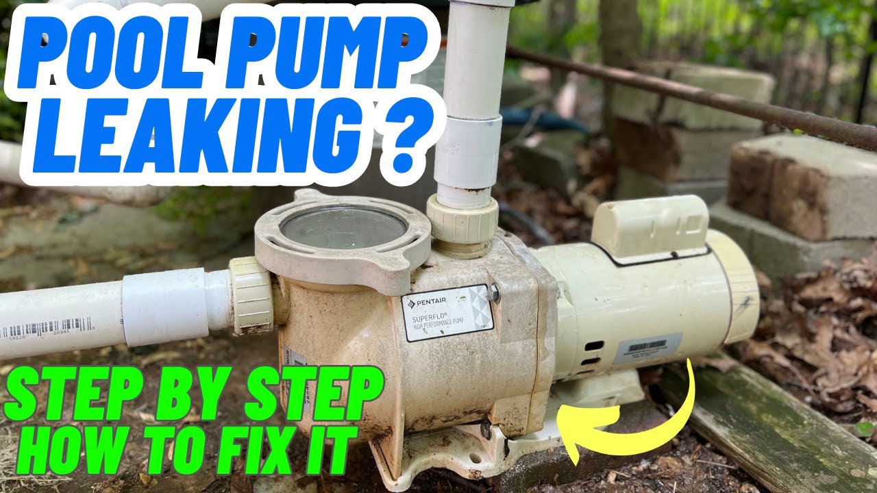 POOL PUMP LEAKING ? Step By Step How To Fix It!