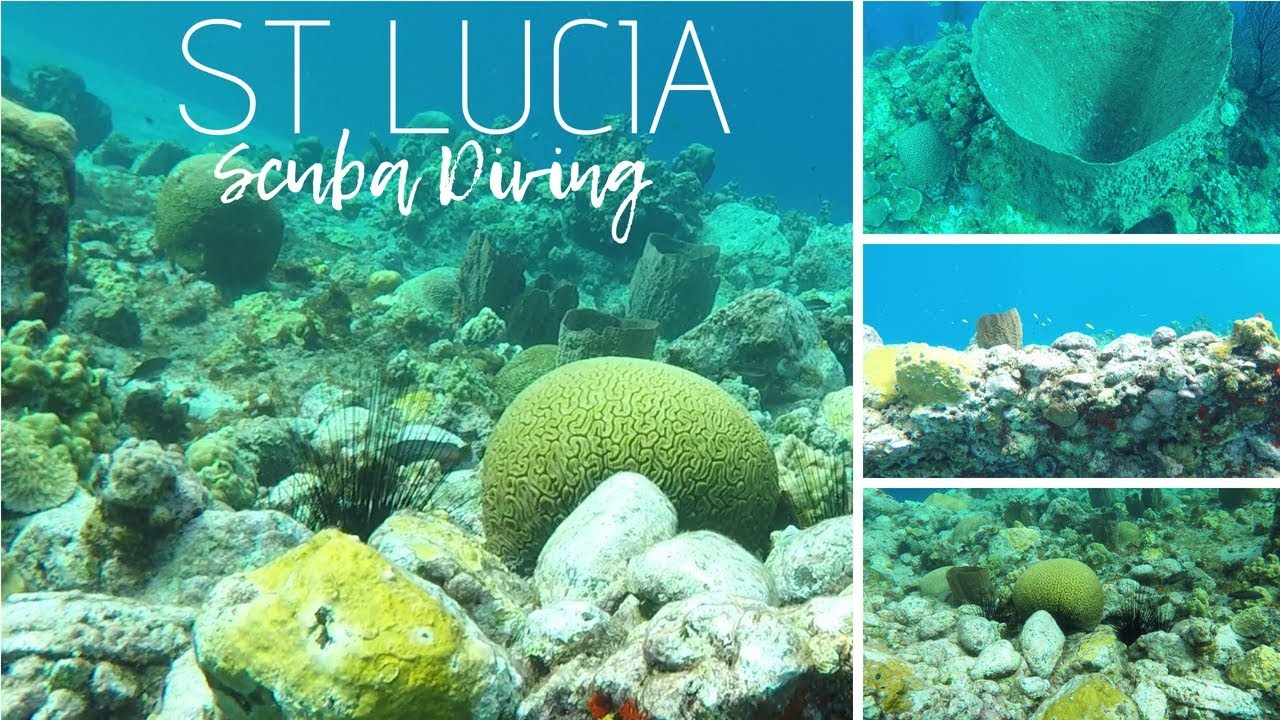 SCUBA Diving St. Lucia Anse Chastanet Incredible under water footage