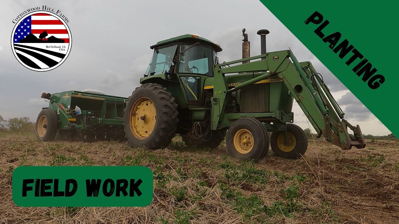 Field Work: Planting Orchard Grass