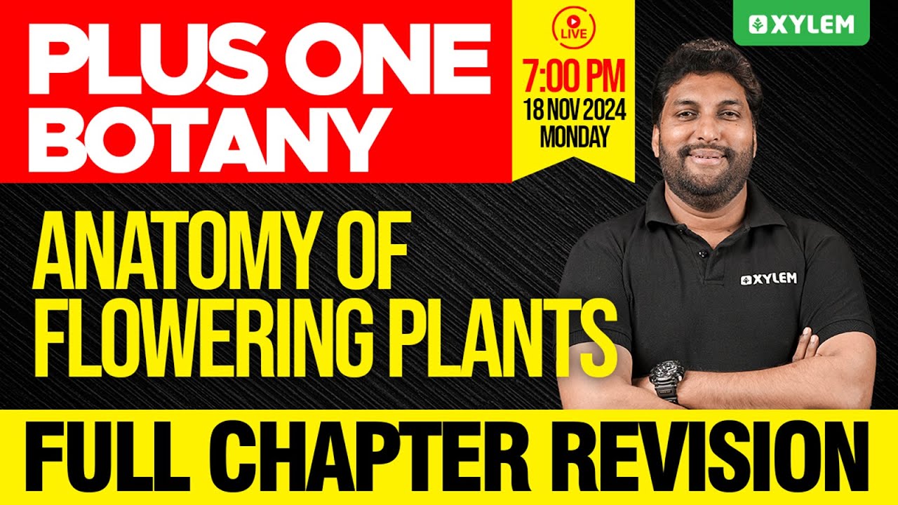 Plus One Botany | Anatomy Of Flowering Plants - Full Chapter Revision | Xylem Plus One