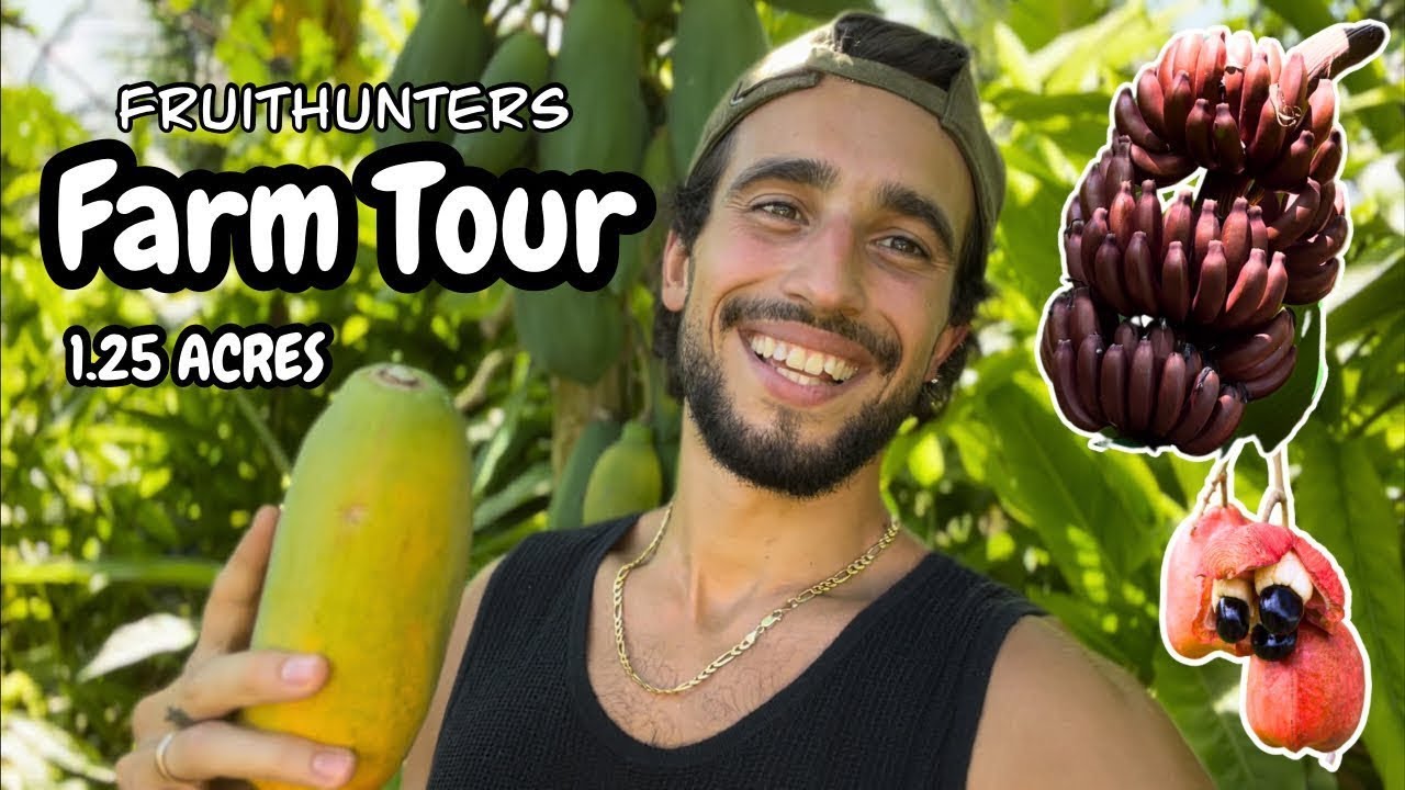 Tour My Tropical Fruit Farm: 2 Years of Natural Farming for Exotic Harvests