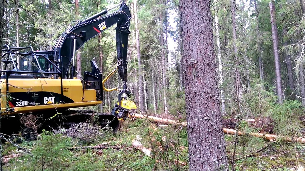 CAT 320D FM + Ponsse H7