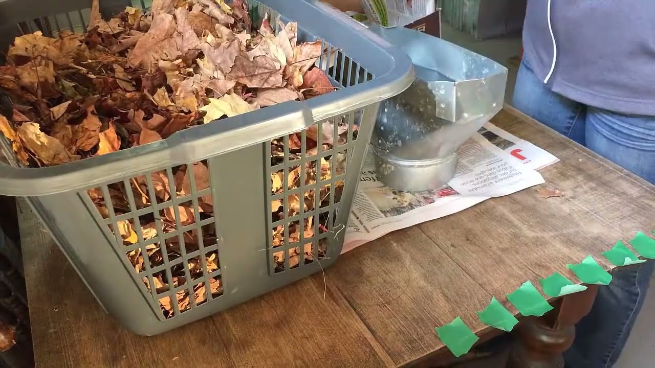 Quick DIY leaf log