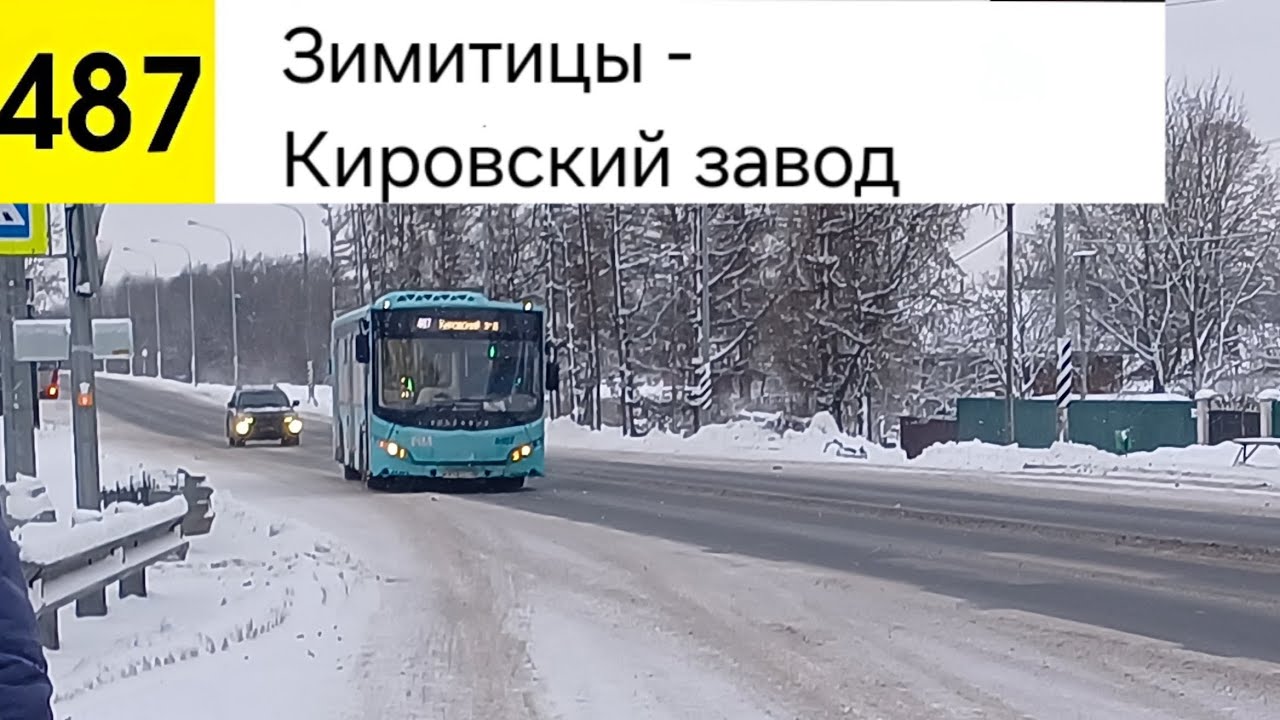 Автобус 487. Зимитицы - Кировский завод