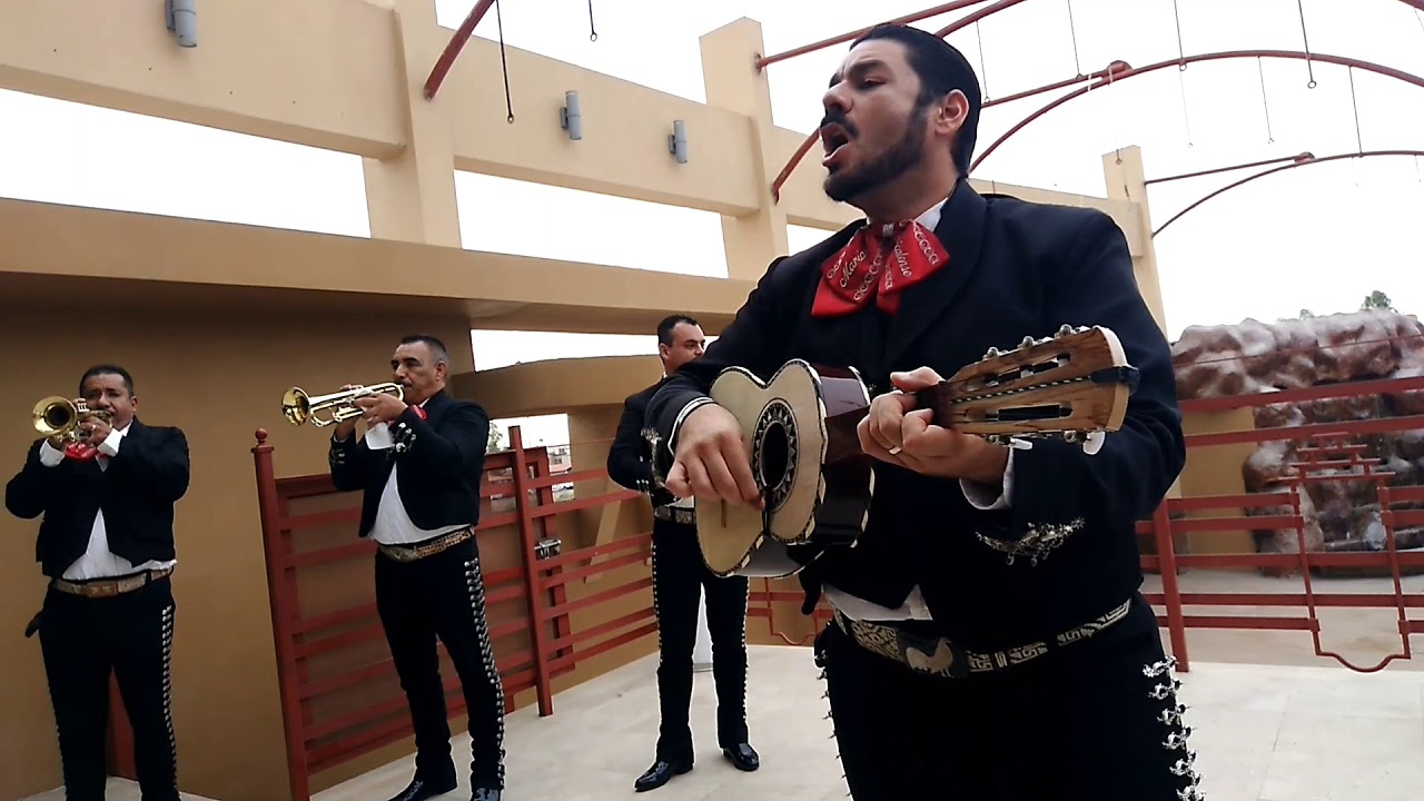 Mariachi Mexicalense "La fiesta del mariachi"