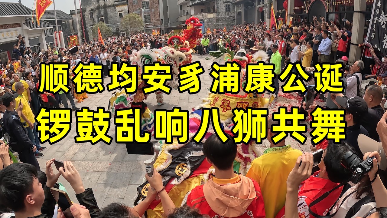 顺德均安豸浦康公诞八狮共舞，现场一片混乱，还有三只可爱小狮©老Q闲游记