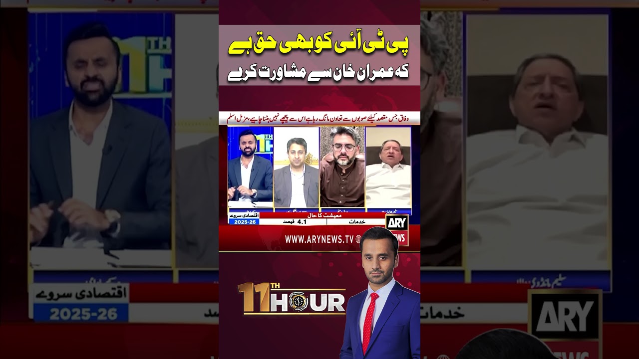 PTI Has the Right to Consult Imran Khan: Saleem Mandviwalla