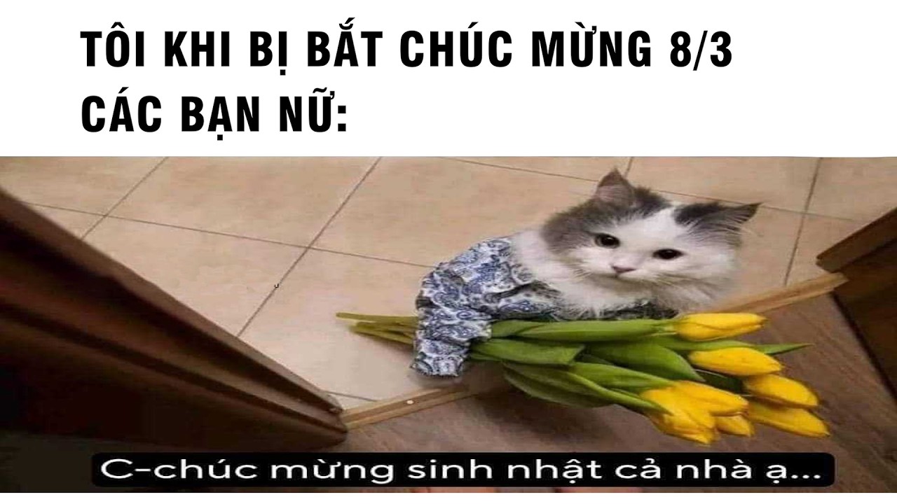 🔴 LIVE 🗣️: chuc cac ban mung 8/3 lon xinh nhu hoa ❤️