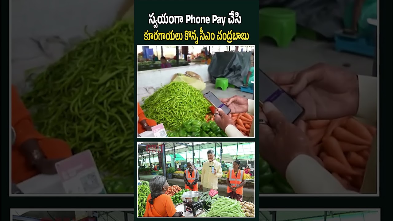 CM Chandrababu Naidu Personally Uses PhonePe To Buy Vegetables || Chandrababu Naidu || Cult Politics