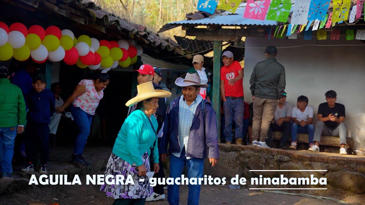 AGUILA NEGRA - GUACHARITOS DE NINABAMBA / MUSICA DELRECUERDO - GADIEL PRODUCCIONES 959451227