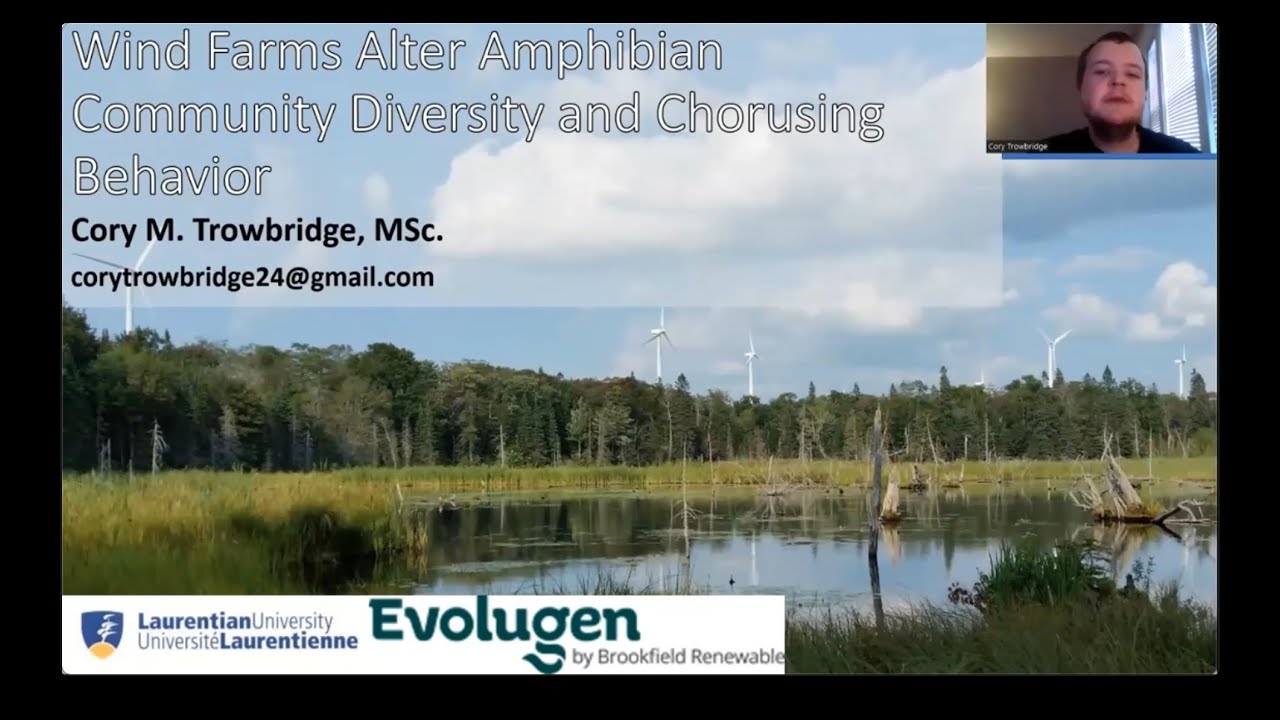 Cory Trowbridge: How Wind Farms Alter Amphibian Community Diversity and Chorusing Behavior