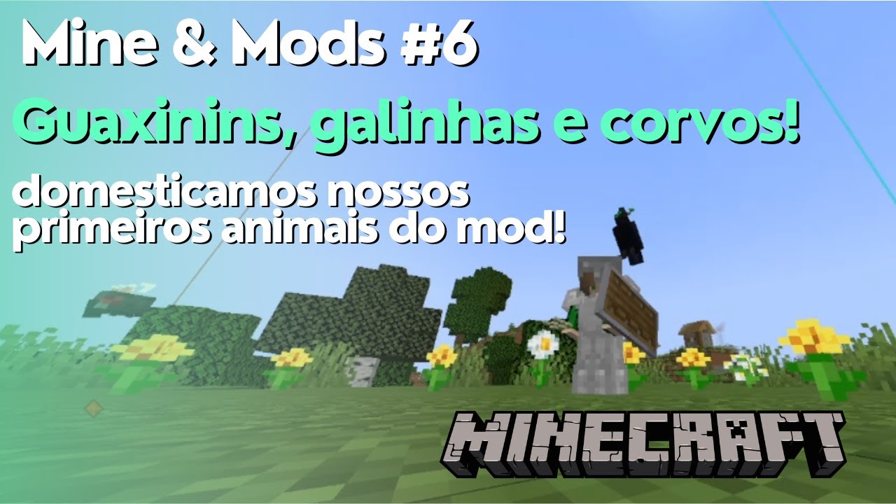 Guaxinins, galinhas e corvos! - Mine & Mods #6
