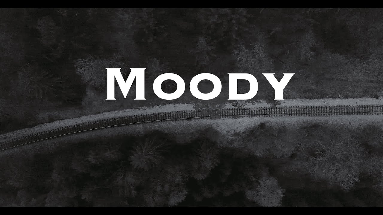 Moody Forest 4K Footage DJI Mavic Pro