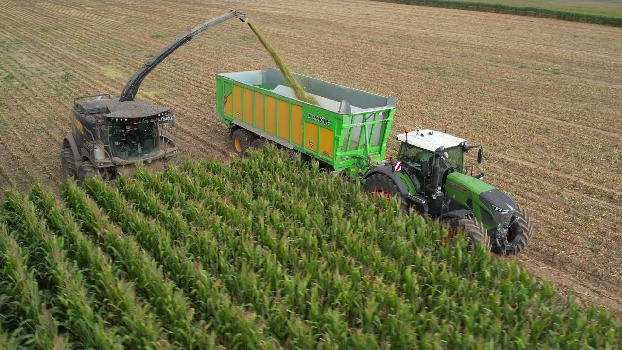Siláže | CORN SILAGE | Martin Zbořil - služby v zemědělství | služby pro Farma Nový Dvůr | 2023