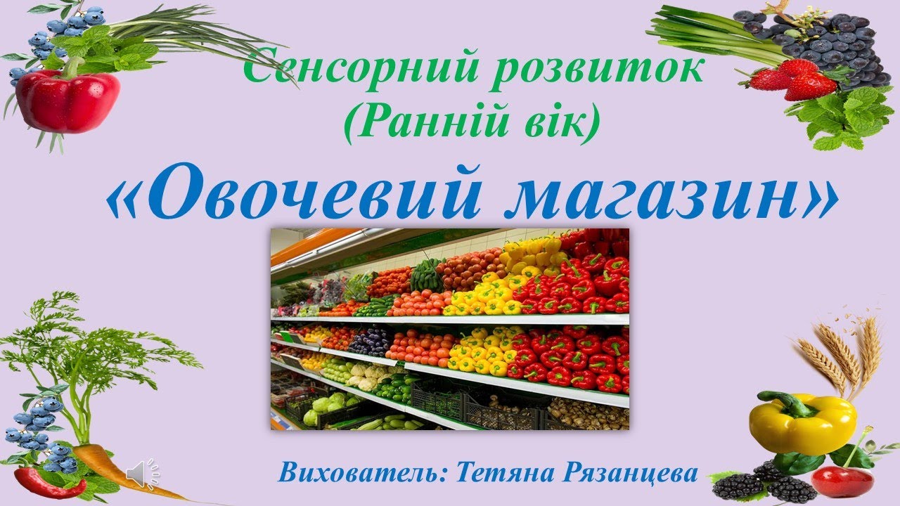 Сенсорний розвиток (Ранній вік) «Овочевий магазин»