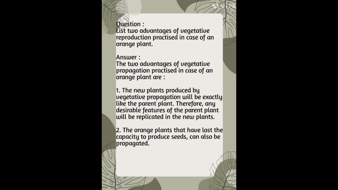 List two advantages of vegetative reproduction practised in case of an orange plant.