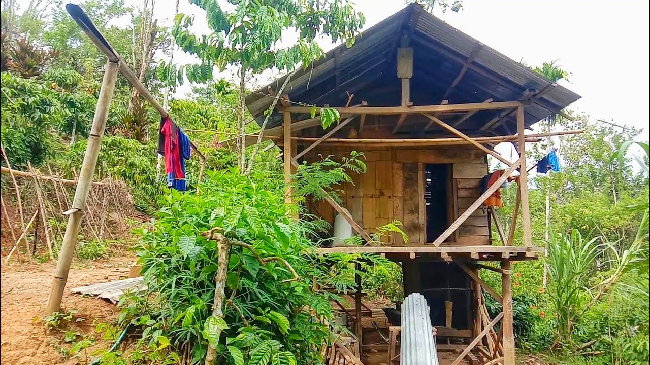 Request Kalian, Rumah Kebun Yang Sederhana, Ini Rumah, Dikebun Saya, Ditempati Saudara Sepupu