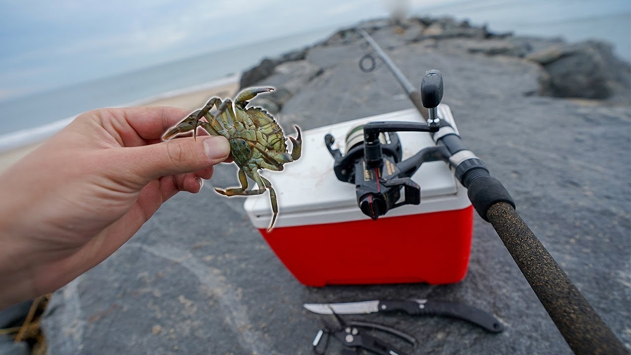 Fishing w/ LIVE CRABS for STRONG Fish!! (Saltwater Fishing Mission)