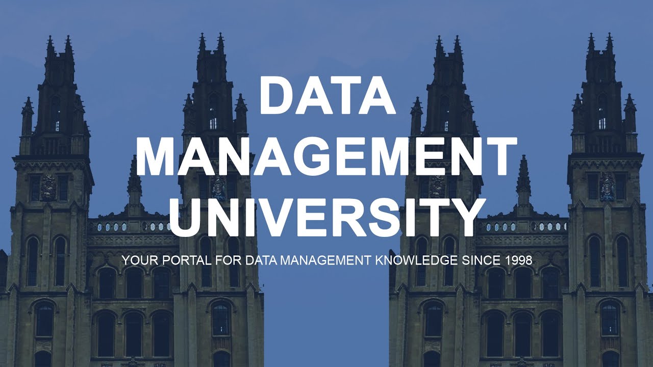 Business Analyst's Role in Digital Transformation - Case Study