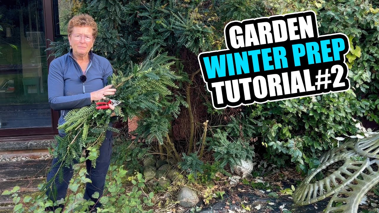 How to Prune Back Your Shrubs to Overwinter & Cutting Back Hardy Perennials | Winter Garden Prep
