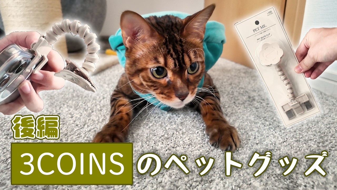 3COINSの面白＆便利ペットグッズ【後編】