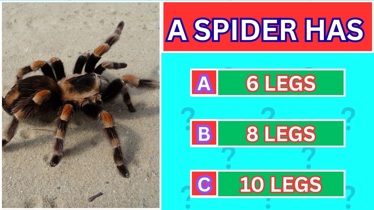 Quiz Blitz: 60 Questions to Destroy Your Boredom ⚡🧠😱 #generalknowledge #quiz #trending