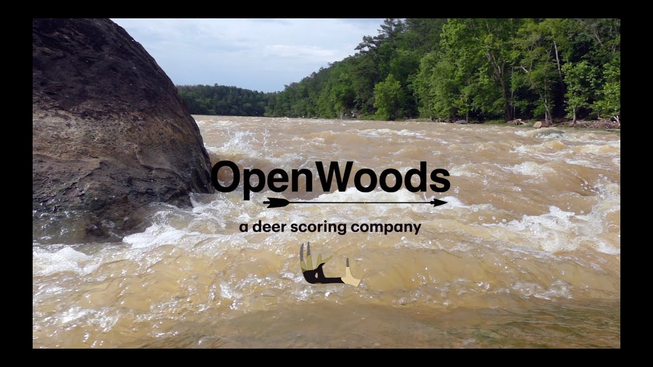DeerScore by Open Woods