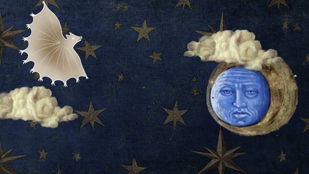 SKY - The Hw&aelig;l, the Hara, and the Flittermouse