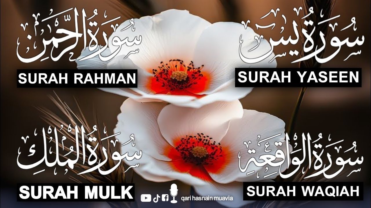 Surah Yasin (Yaseen) | Surah-Al Waqiah | Surah Ar Rahman | Surah Mulk | By Qari Muzammil Nadwi 