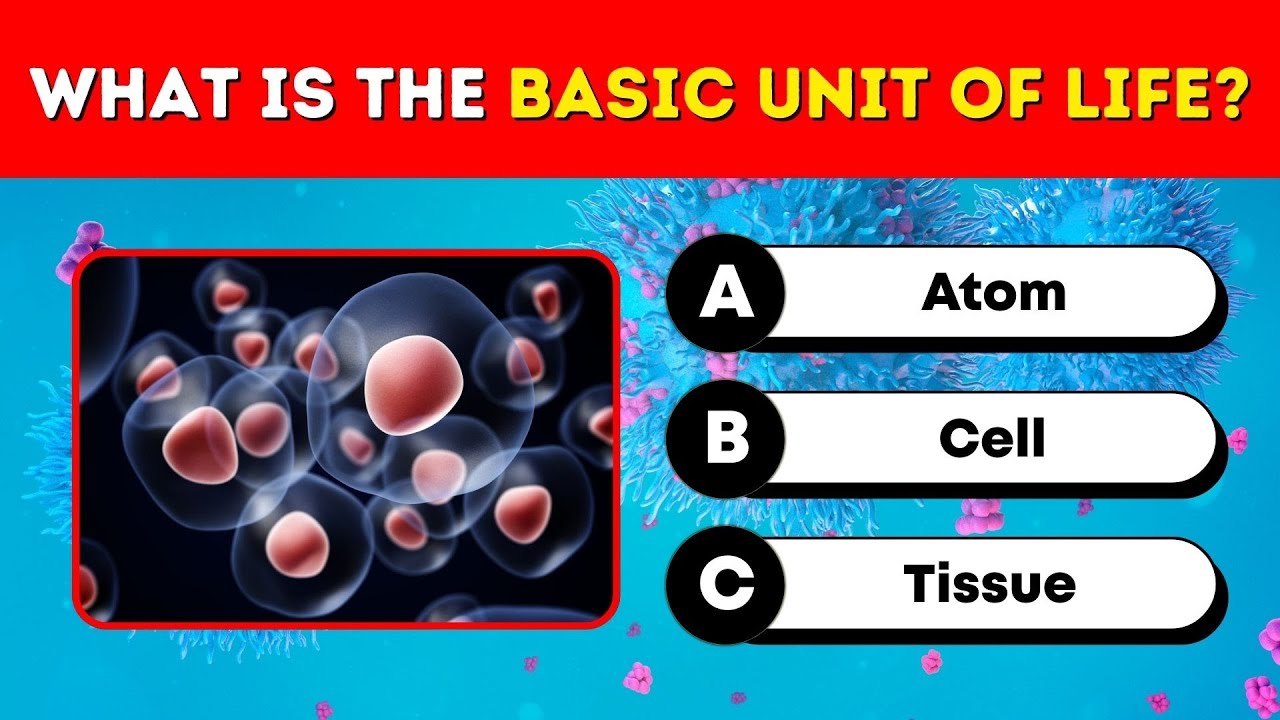 🧬 40 Biology Quiz Questions & Answers | Test Your Science Knowledge! 🌱🔬