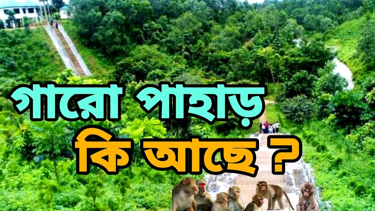 Garo community lives in this hill | Garo Hill Bangladesh | Garo Pahar Mymensingh