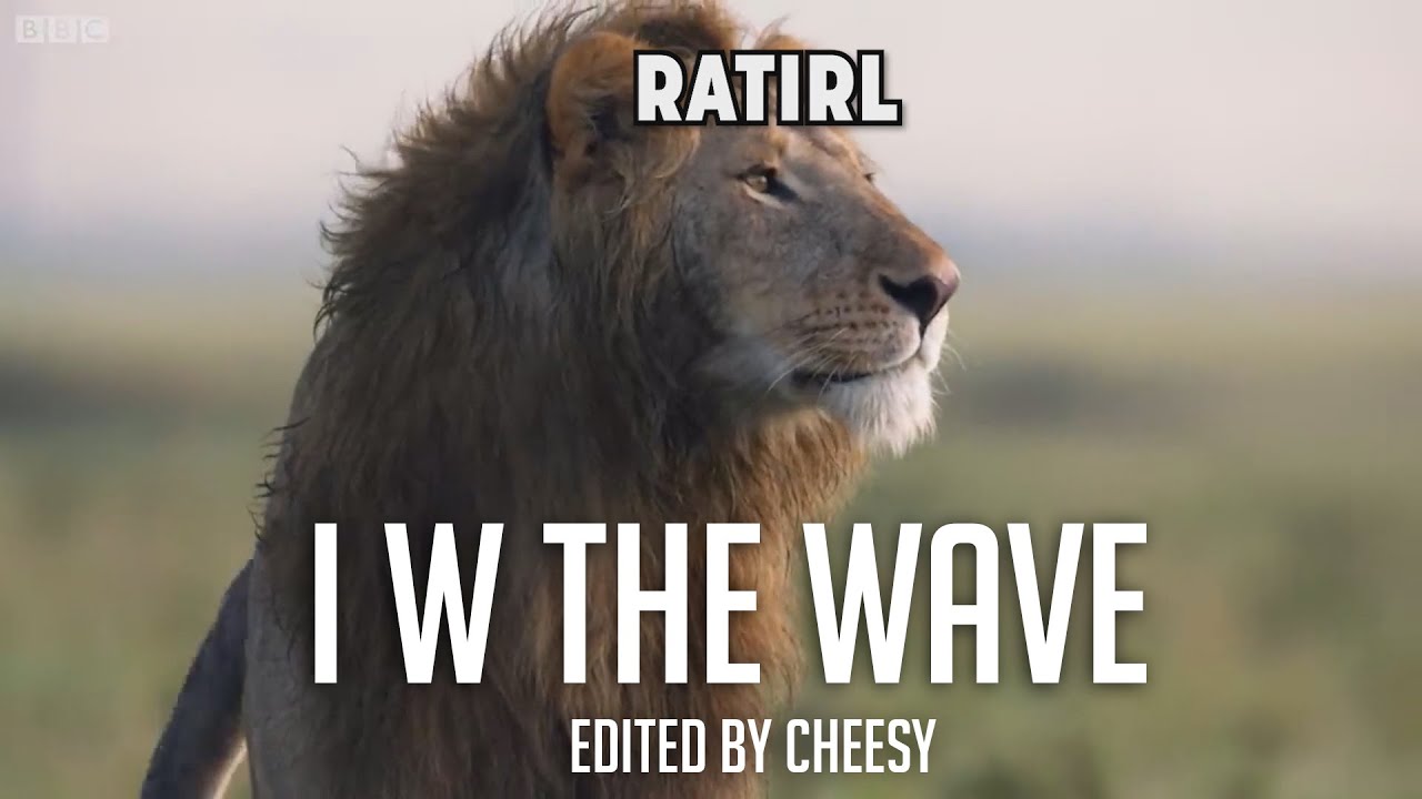 I W the WAVE (Funny Moments Montage)