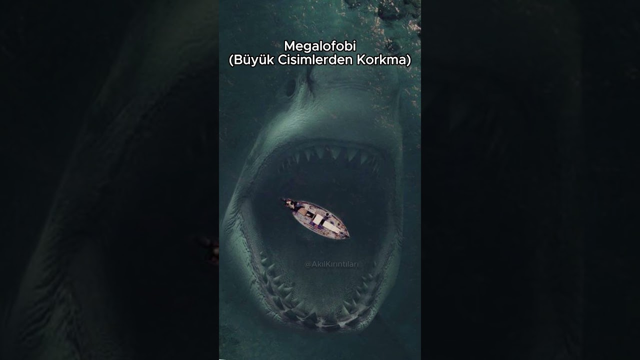 Eğer Bu Fotoğraflardan Korkuyorsan Bir Fobin Var Demektir!