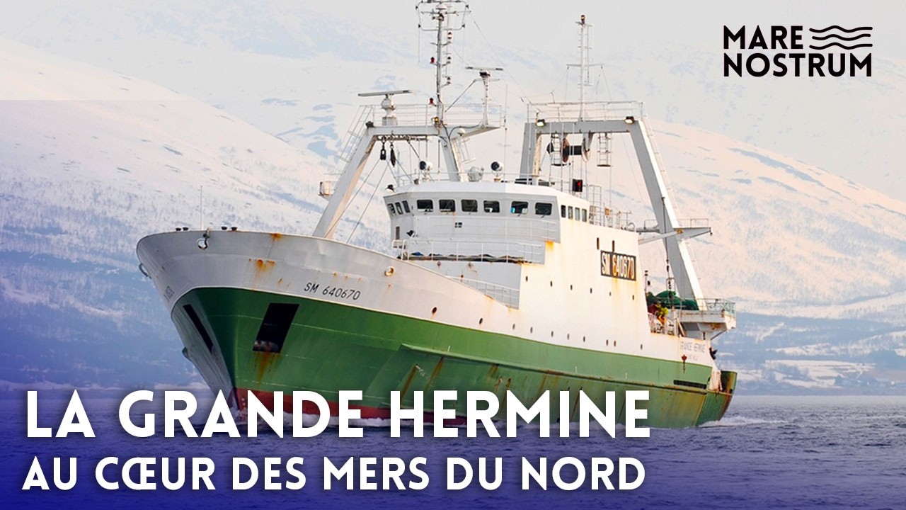 Mission Lofoten : à bord de la Grande Hermine face aux tempêtes du Nord – Documentaire