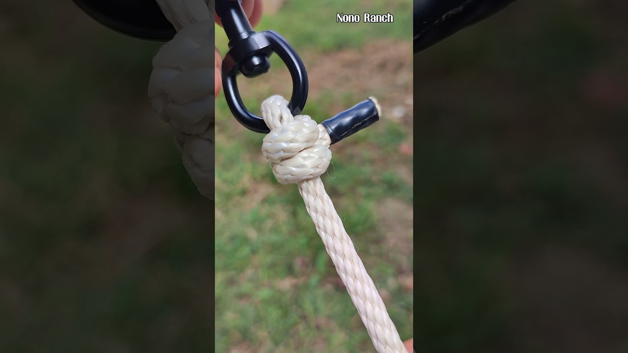Aprende a hacer este pr&aacute;ctico nudo para argollas 💯 @nonoranchadventure8397