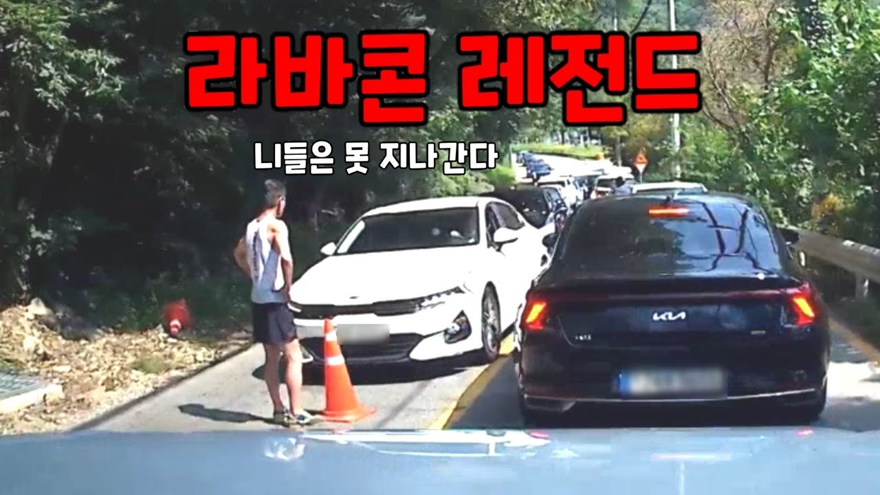 도참시 블랙박스 : 60대 이상 차들이 피해본 역대급 가두리 양식장 2024 최신블박영상