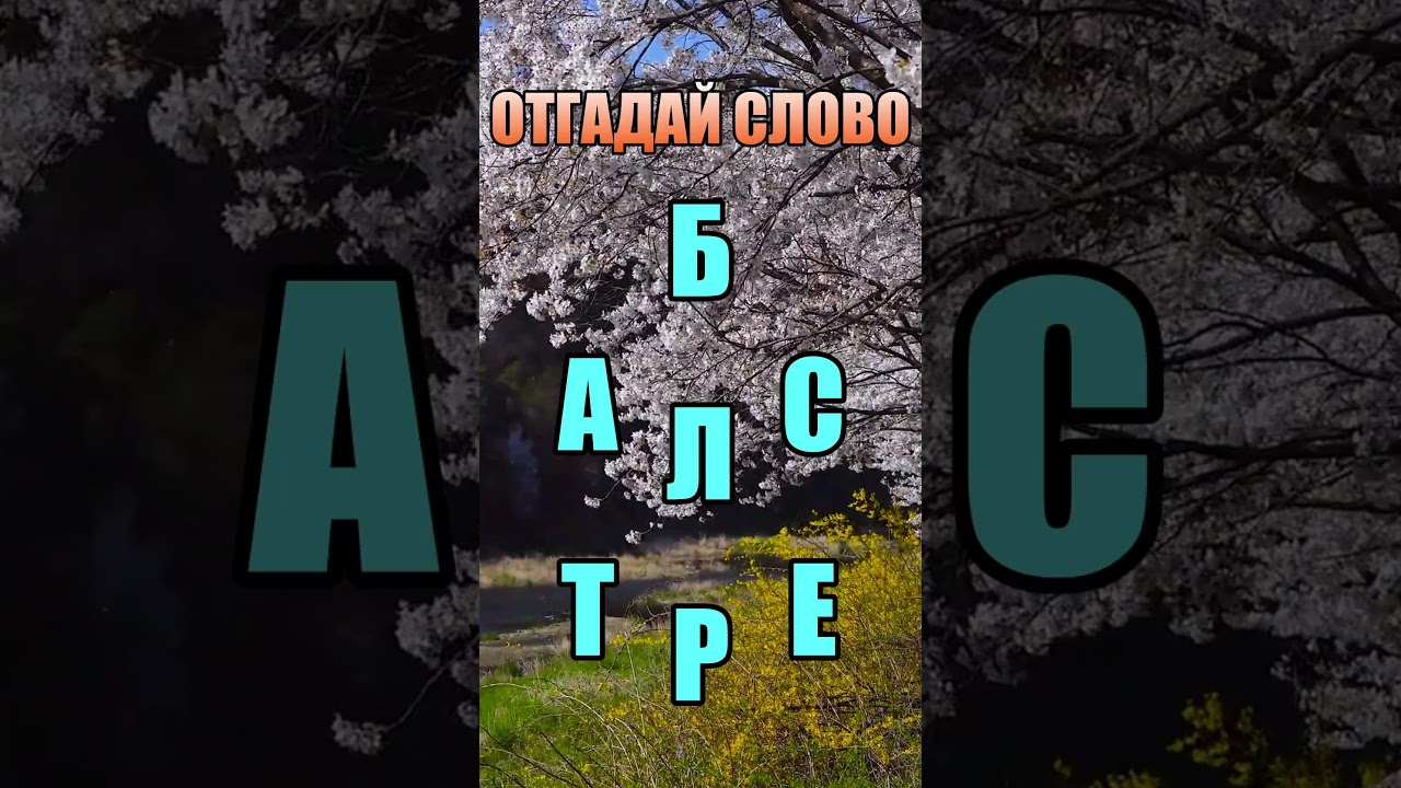 Отгадай слово 