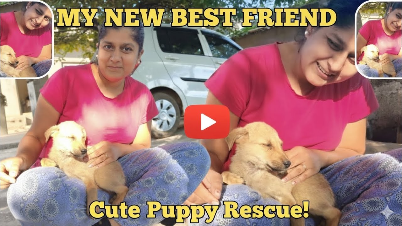 આજ હમારા ઘરે મેમાન આવા. #trending #villagerlifestyle #vairalvideo 
