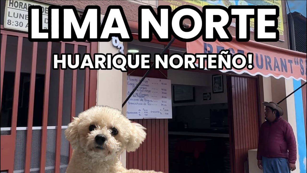 HUARIQUE CALETA EN LIMA NORTE!!