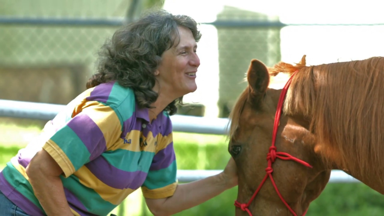Molly the Pony: 10 Years Later