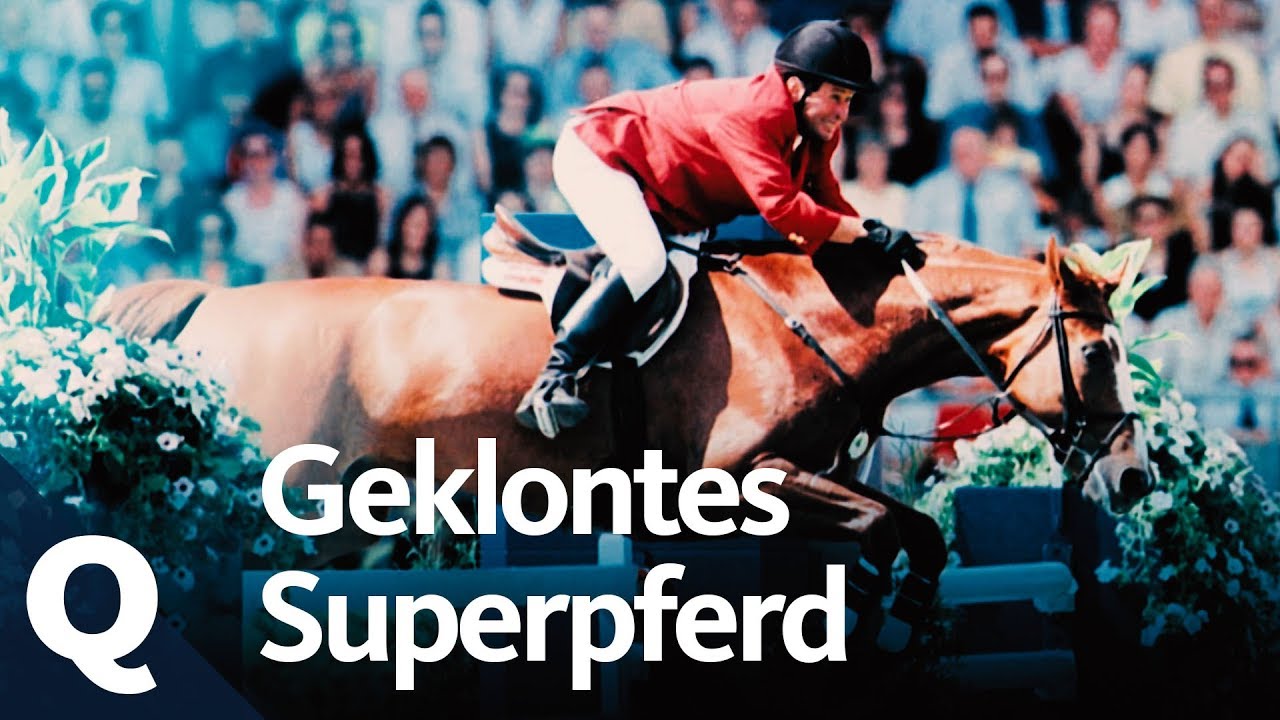 Pferdezucht 2.0: Das Klonen von Springpferden | Quarks