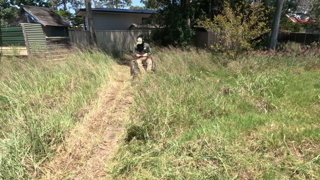 SHE nearly got LOST in this yard - Big YARD CLEAN UP