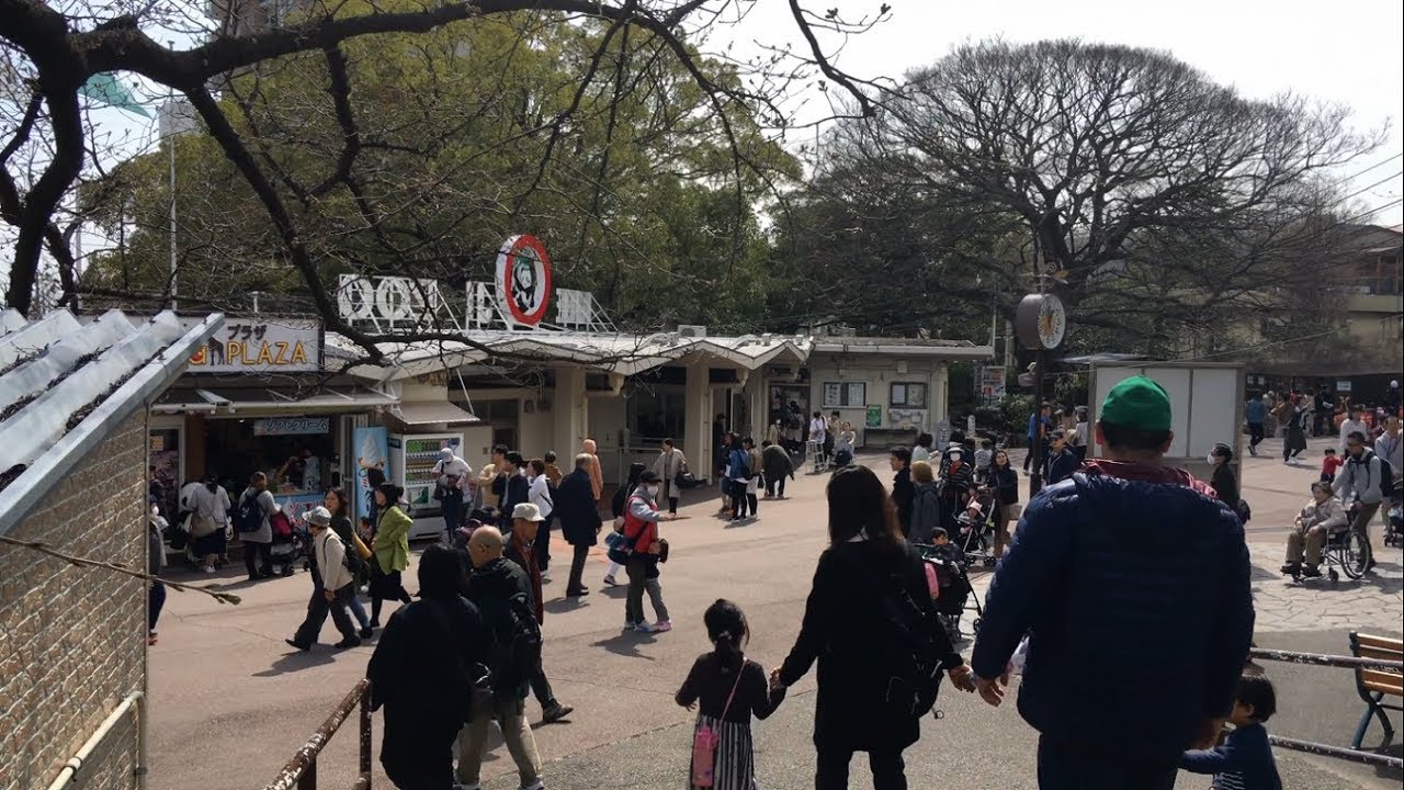 【神戸市立王子動物園/2018】3/18（日）[4K]　14時頃