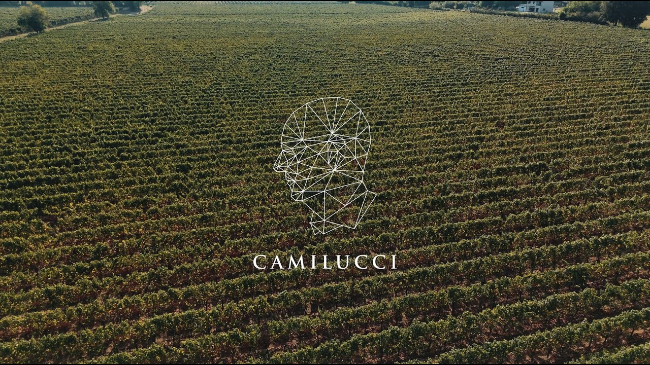 Benvenuti nella Cantina Camilucci Franciacorta!