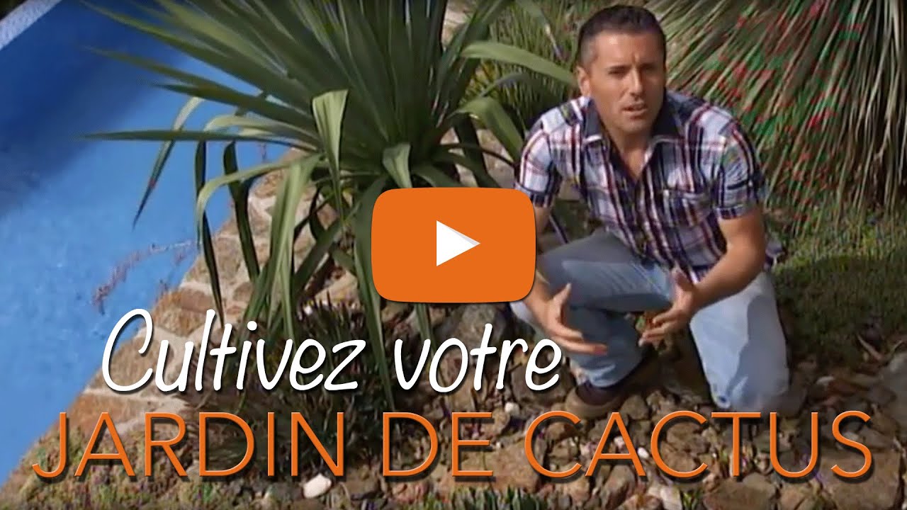 CACTUS - PLANTES GRASSES - CACTÉES - Chroniqueur jardin Franck PROST